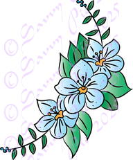 Blue Flower Pattern