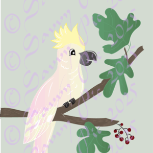 Cockatoo