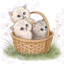 Cute Kittens