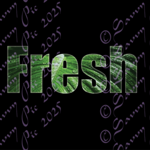 Fresh Leaves