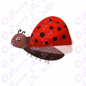 Lady Bug