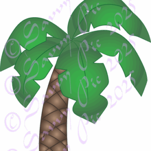 Palm Tree