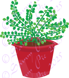 Pot Plant