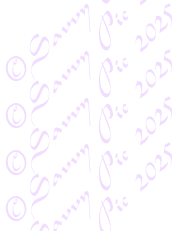 White Flower Pattern