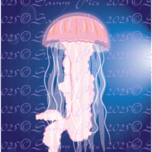 Jellyfish in Ocean