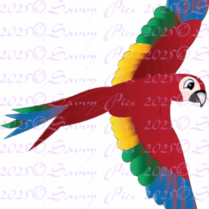Macaw