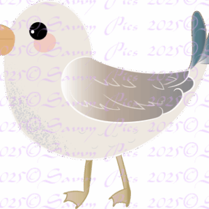 Seagull